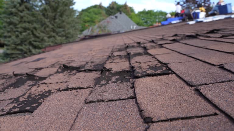 Best Asphalt Shingle Roofing  in Poughkeepsie, NY